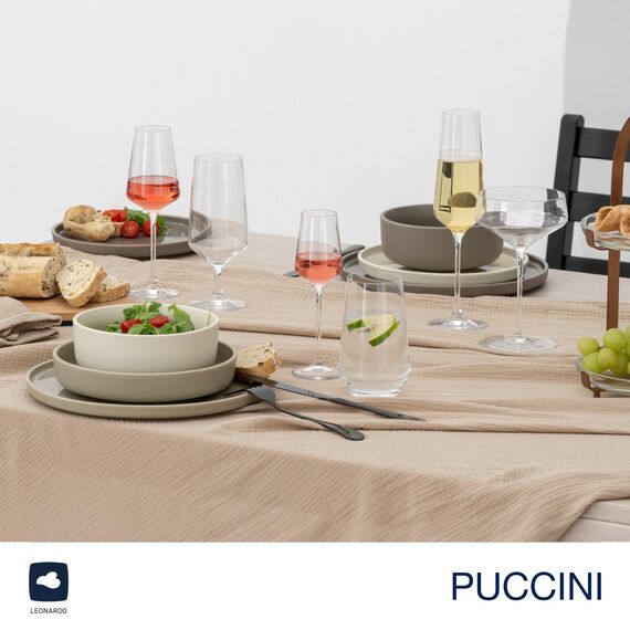 LEONARDO HOME Sektgläser PUCCINI (6er Set) inkl. Poliertuch • Spülmaschinenfeste Prosecco-Kelche (280 ml) • Stoßfest & Alltagstauglich • 040979
