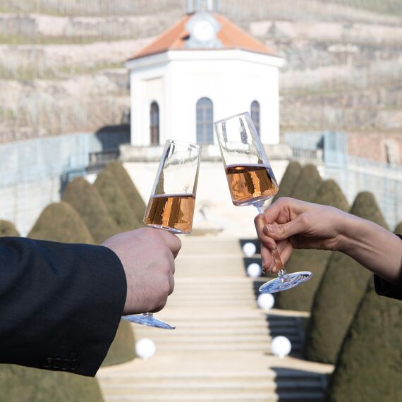 Stölzle Lausitz Champagner Gläser Power 6er-Set 240ml – Eleganter Champagnerkelch ideal für Sekt & Prosecco – Hochwertige Kristall Sektgläser aus deutscher Herstellung – Spülmaschinen- & Stoßfest