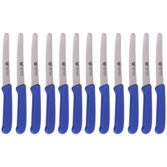 GRÄWE Tafelmesser 12 Stück, Messerset zum Schneiden, 12er Pack Brötchenmesser, Frühstücksmesser mit einseitigem Wellenschliff, Brotmesser, scharfe Messer für Brotzeit, 21 cm - Blau