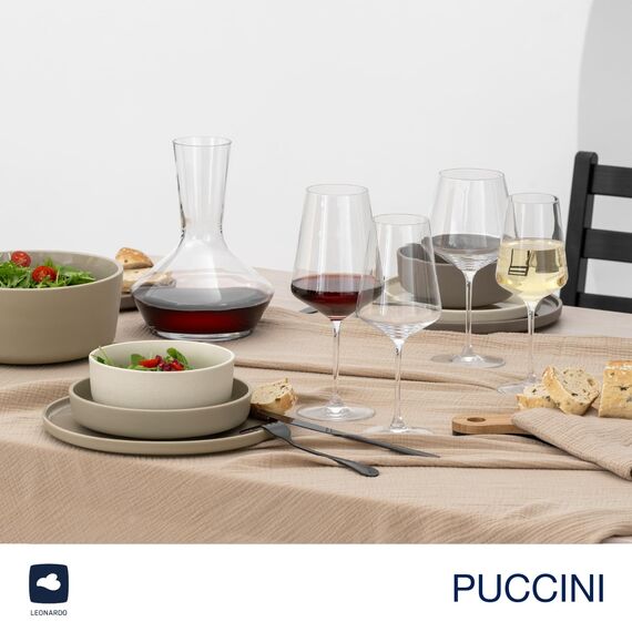 LEONARDO HOME Rieslinggläser PUCCINI (6er Set) inkl. Poliertuch • Spülmaschinenfeste Wein-Gläser (400 ml) • Stoßfest & Alltagstauglich • 040992