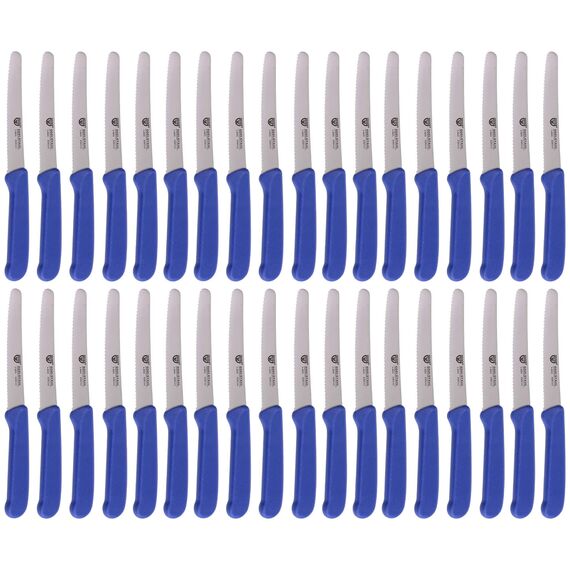 GRÄWE Tafelmesser 36 Stück, Messerset zum Schneiden, 36er Pack Brötchenmesser, Frühstücksmesser mit einseitigem Wellenschliff, Brotmesser, scharfe Messer für Brotzeit, 21 cm - Blau
