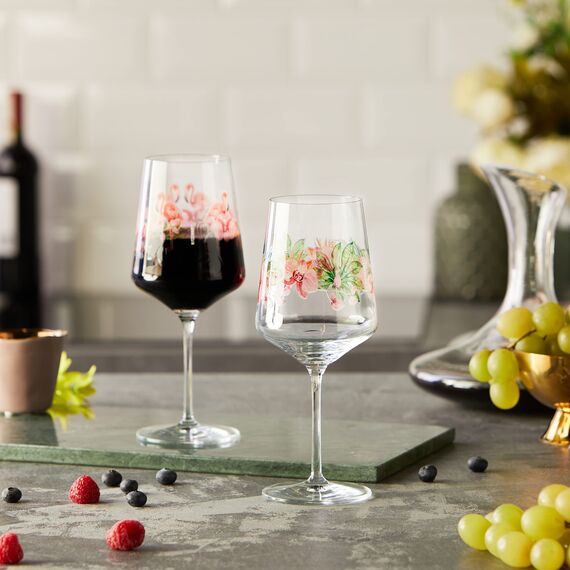 RITZENHOFF 3461005 Aperitifglas 500 ml - 2er Set - Serie Sommersonett Nr. 5, 2 Stück, Tier & Pflanze - Made in Germany