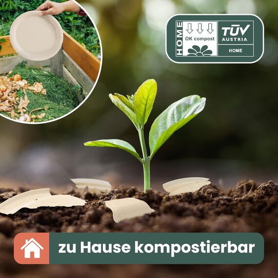 HAAGO 500 Zuckerrohr Bagasse Einwegteller, 5-Geteilte Menüteller, 26cm - Stabil, Biologisch Abbaubar, Umweltfreundlich & Home Kompostierbar