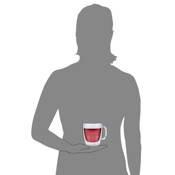 Sänger | Doppelwandige Gläser mit Henkel, 6-teiliges Gläser-Set, Thermo-Gläser, Kaffee Gläser doppelwandig | Füllmenge 220 ml