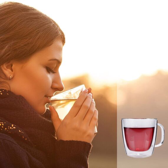 Sänger | Doppelwandige Gläser mit Henkel, 6-teiliges Gläser-Set, Thermo-Gläser, Kaffee Gläser doppelwandig | Füllmenge 220 ml