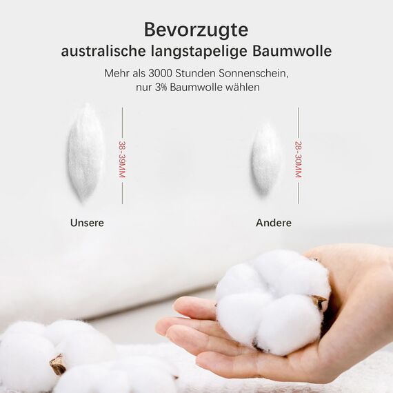 SOULFUL Bettwäsche 220x240 Baumwolle Anthrazit, Bettwäsche-Sets 100% Gewaschene Baumwolle mit Leinenartigem Griff, ÖkoTex Zertifiziert & für Allergiker Geeignet, 1 Bettbezug & 2 Kissenbezügen 80x80