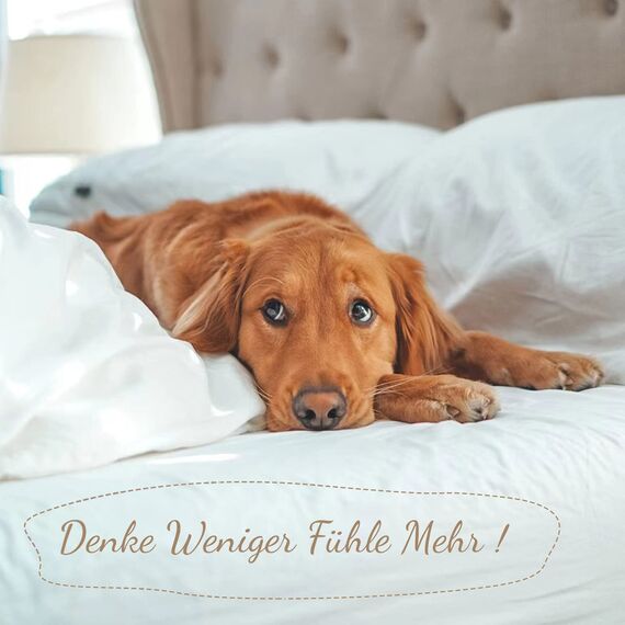 SOULFUL Bettwäsche 155x220 Baumwolle 2 Teilig, Bettwäsche-Sets Haiya Blue mit Reißverschluss, Ähnliche Textur wie Stone Washed Leinen, Enthält 1 Bettbezug 155x220 und 1 Kissenbezug 80x80