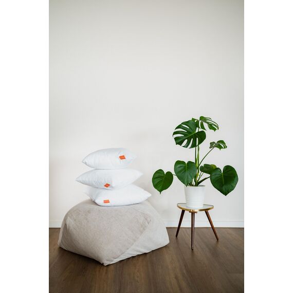 sleepling 2er Set Kissen 40x40 cm, Sofakissen, Kissenfüllung, Zierkissen für Allergiker, Deko Kissen Füllung 40 x 40, Ökotex, waschbar bis 60 Grad, Made in EU, Komfort 100