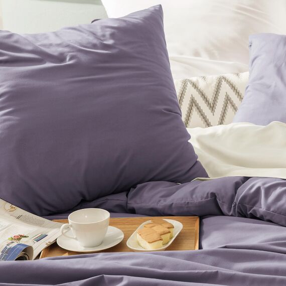 BEDSURE Bettwäsche 220x240 3teilig Grauviolett - 1 Bettbezug 240x220 cm + 2 Kissenbezüge 80X80 cm, ÖKO-TEX Bettwäsche-Sets Violett Polyester Mikrofaser mit Reißverschluss