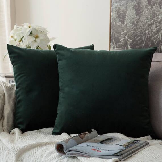 MIULEE 2er Set Samt Kissenbezüge Kissenhülle Kissenbezug Sofakissen Dekorative Dekokissen Couchkissen Zierkissen mit Verstecktem Reißverschluss für Sofa Schlafzimmer 60x60 cm