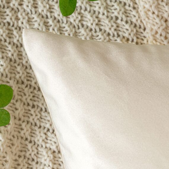 EMEMA Samt Kissenbezug Kissenhülle Dekorative Dekokissen Sofakissen Lendenkissen Wurfkissenbezug mit Verstecktem Reißverschluss Sofa Schlafzimmer 2er Set 40x40 cm Creme weiß