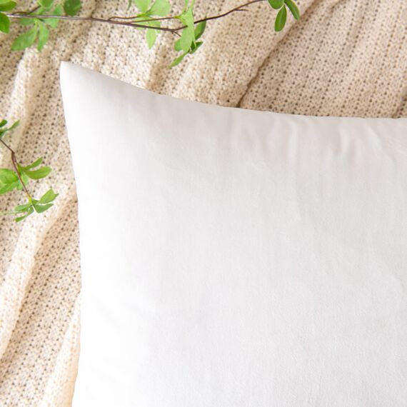 EMEMA Samt Kissenbezug Kissenhülle Dekorative Dekokissen Sofakissen Lendenkissen Wurfkissenbezug mit Verstecktem Reißverschluss Sofa Schlafzimmer 2er Set 40x40 cm Reines Weiß