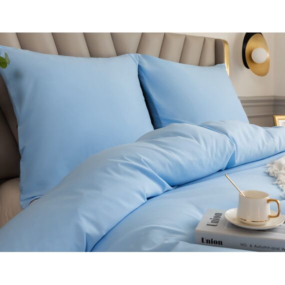 Amolavet Winter Bettwäsche 200x200 Hellblau 3teilig Set aus Gebürstetem Mikrofaser Winterbettwäsche 200x200 Mit Reißverschluss für Doppelbett Bettbezug 200X200cm + 2 Kissenbezüg 80x80cm