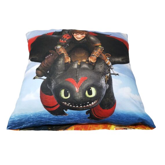 Theonoi Kinder Kissenbezug Kissenhülle Zierkissenhülle Zierkissenbezug 40x40 ohne Füllung ohne Kissen aus Baumwolle (Drachen zähmen)