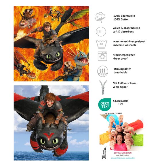 Theonoi Kinder Kissenbezug Kissenhülle Zierkissenhülle Zierkissenbezug 40x40 ohne Füllung ohne Kissen aus Baumwolle (Drachen zähmen)