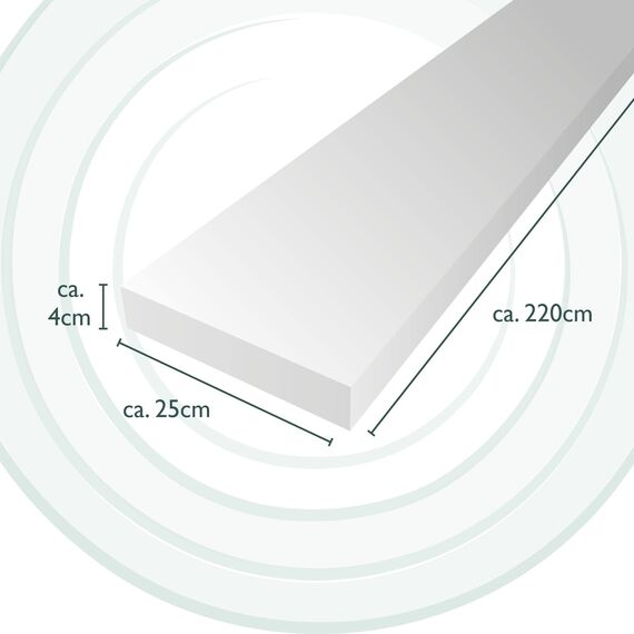 Beautissu 2er Set Bierbank Auflage 4x25x220cm – Schaumstoffpolster für Hussen – 4cm Bequeme, Dicke Auflage für Bierzeltgarnitur & Festzeltgarnitur - Outdoor Sitzpolster für Bierbank