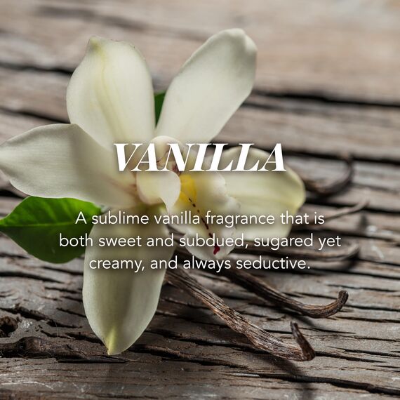 Yankee Candle Duftkerze im Glas (groß) | Vanilla | Kerze mit langer Brenndauer bis zu 150 Stunden | Perfekte Geschenke für Frauen