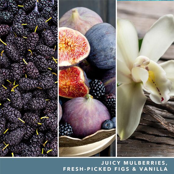 Yankee Candle Duftkerze im Glas (groß) | Mulberry & Fig Delight | Kerze mit langer Brenndauer bis zu 150 Stunden | Perfekte Geschenke für Frauen