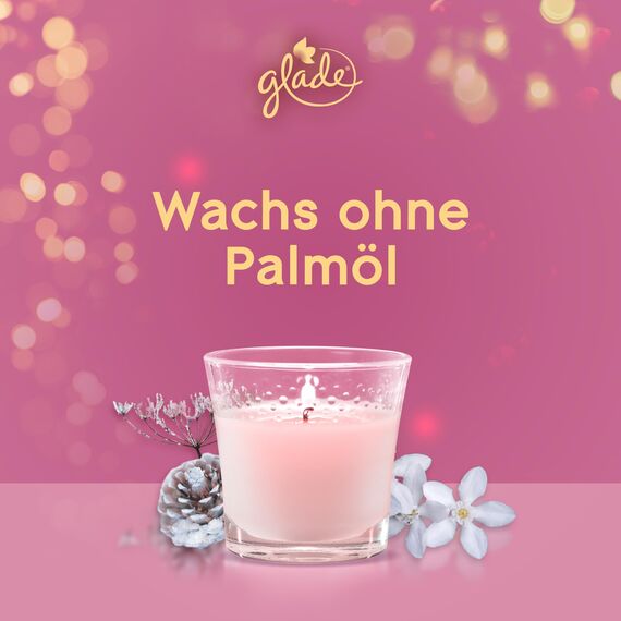 Glade Duft-Kerze im Glas Frosty Wildflowers, bis zu 27 Stunden Brenndauer, 6er Pack (6x112g)