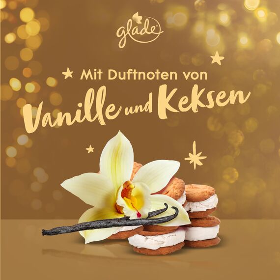 Glade (Brise) Geschenkset mit 4 Kerzen Duftkerzen im Glas 4er Set (4x112g) mit je einer Kerze pro Winterduft (Warm Apple Pie/Berry Festive Kiss/Vanilla Cream Cookies/Frosty Wildflowers), (4x112g)