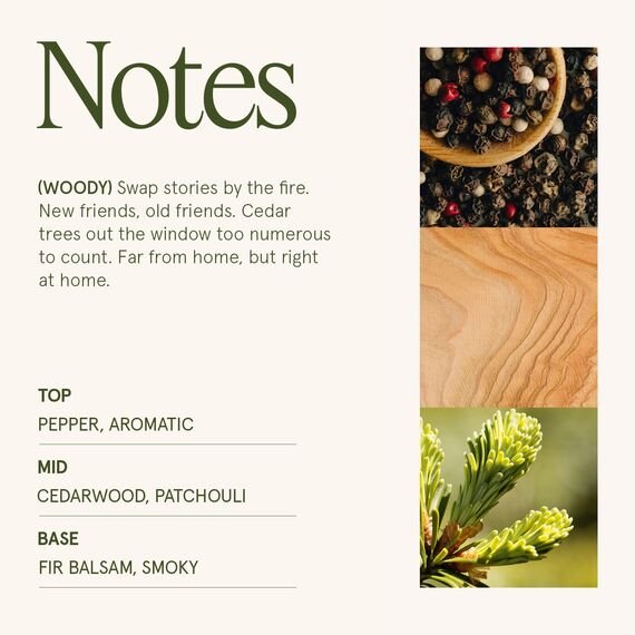 LA JOLIE MUSE Duftkerze Starlit Golden Fir Weihnachtskerze für Zuhause, Geschenkidee für Frauen & Männer, große Duftkerze mit Holzdocht, 90 Stunden Brenndauer, 19oz (539g)