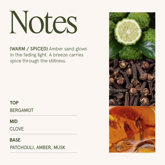 LA JOLIE MUSE Sahara-Ambra-Kerze, Aroma-Kerzen für zuhause, große 2-Docht-Soja-Kerze, Duftkerze Geschenk, sauber brennende Kerzen, ca. 340 g (12oz)