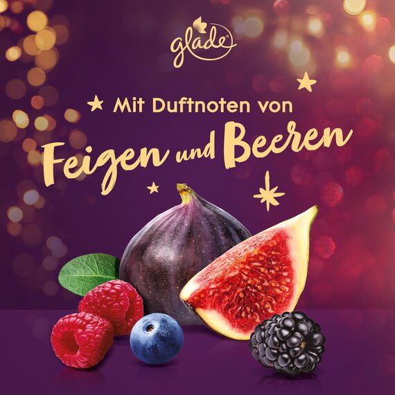 Glade (Brise) Geschenkset mit 4 Kerzen Duftkerzen im Glas 4er Set (4x112g) mit je einer Kerze pro Winterduft (Warm Apple Pie/Berry Festive Kiss/Vanilla Cream Cookies/Frosty Wildflowers), (4x112g)