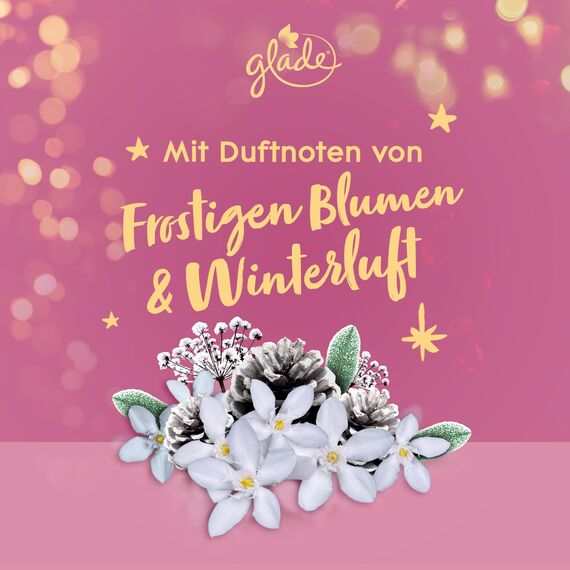 Glade (Brise) Geschenkset mit 4 Kerzen Duftkerzen im Glas 4er Set (4x112g) mit je einer Kerze pro Winterduft (Warm Apple Pie/Berry Festive Kiss/Vanilla Cream Cookies/Frosty Wildflowers), (4x112g)