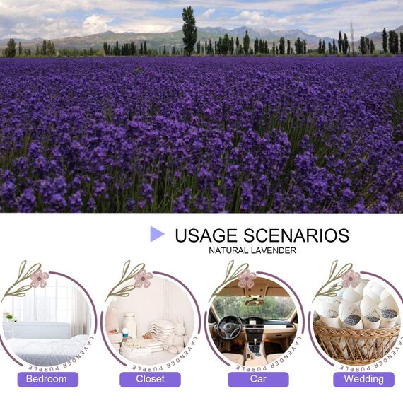 CoolCrafts Lavendelblüten 900g Lavendel Getrocknet Lavendel für Lavendelkissen, Seife, Duftsäckchen, Potpourri Duft