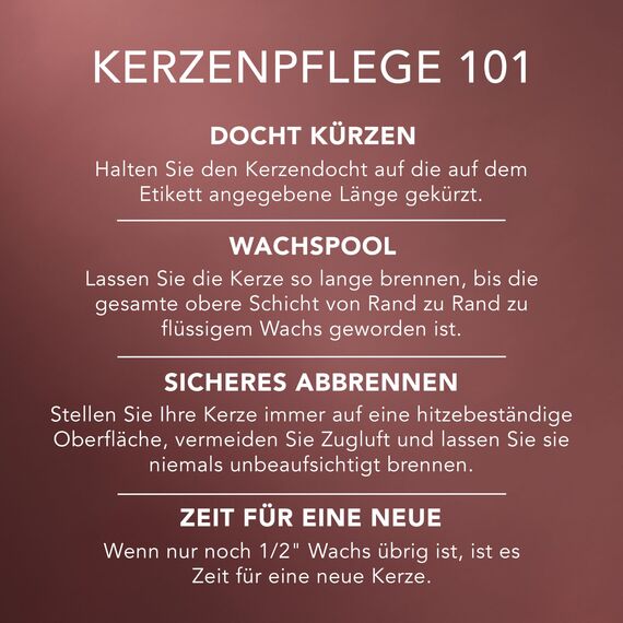 Yankee Candle Duftkerze im Glas (groß) | Mountain Lodge Air | Kerze mit langer Brenndauer bis zu 150 Stunden | Perfekte Geschenke für Frauen