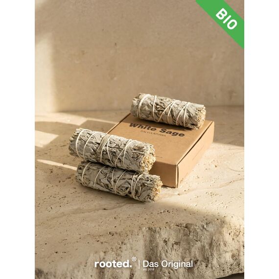 rooted.® | Das Original | Weißer Salbei | 3 Bündel kallifonirscher Salbei | Premium Smudge Sticks | Indianischer Räuchersalbei | 100% kontrollierte und nachhaltige Ernte