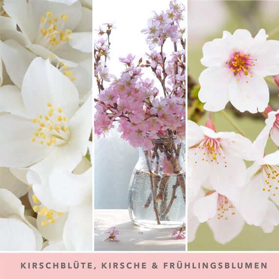 Yankee Candle Duftkerze im Glas (groß) | Cherry Blossom | Brenndauer bis zu 150 Stunden | Perfekte Geschenke für Frauen