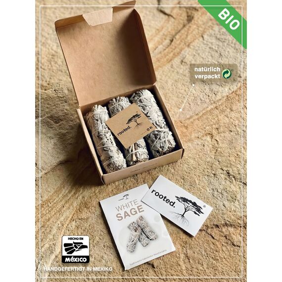 rooted.® | Das Original | Weißer Salbei | 3 Bündel kallifonirscher Salbei | Premium Smudge Sticks | Indianischer Räuchersalbei | 100% kontrollierte und nachhaltige Ernte