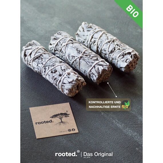rooted.® | Das Original | Weißer Salbei | 3 Bündel kallifonirscher Salbei | Premium Smudge Sticks | Indianischer Räuchersalbei | 100% kontrollierte und nachhaltige Ernte