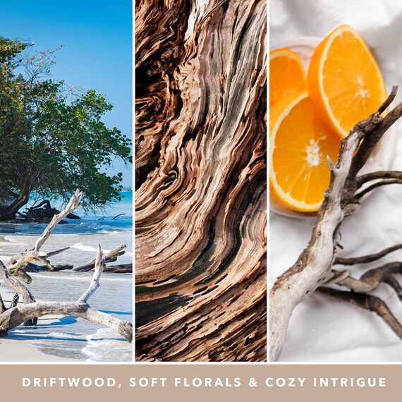 Yankee Candle Duftkerze im Glas (groß) | Seaside Woods | Brenndauer bis zu 150 Stunden | Perfekte Geschenke für Frauen