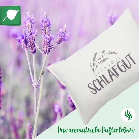 Herbalind Lavendelkissen zum Schlafen Schlafgut Schlafkissen mit Füllung - mit Lavendel ohne Chemie - Bezug 100% Baumwolle 30x20 cm, Kräuterkissen, Duftkissen, Deko Kissen - Geschenk für Frauen