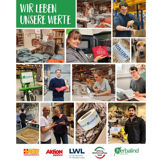 Herbalind Lavendelkissen zum Schlafen Schlafgut Schlafkissen mit Füllung - mit Lavendel ohne Chemie - Bezug 100% Baumwolle 30x20 cm, Kräuterkissen, Duftkissen, Deko Kissen - Geschenk für Frauen