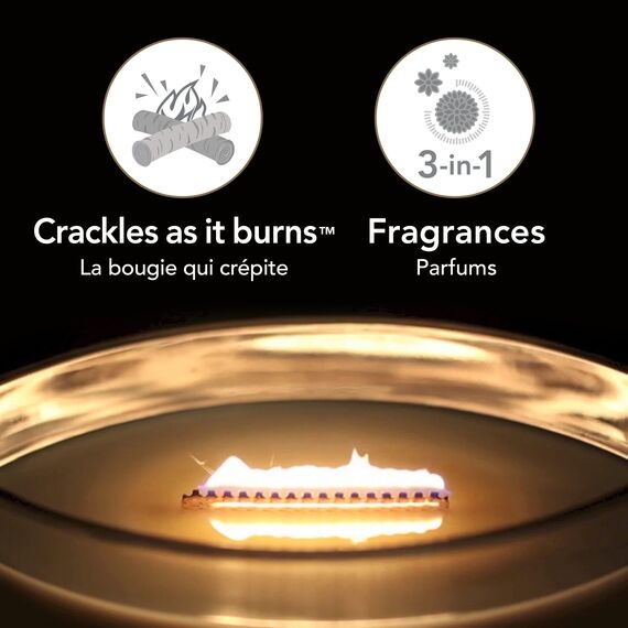 WoodWick Trilogy-Duftkerze im ellipsenförmigen Glas mit HearthWick-Docht, Café Sweets