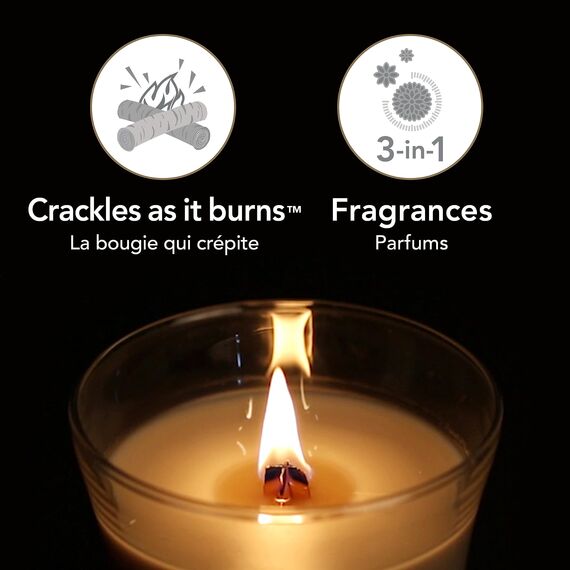 WoodWick mittelgroße Trilogy-Duftkerze im Sanduhrglas mit Pluswick-InnovationSun-Ripened Berries