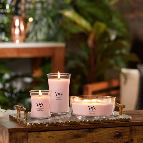 WoodWick Hourglass mittelgroße Duftkerze mit PlusWick InnovationVanilla & Sea Salt