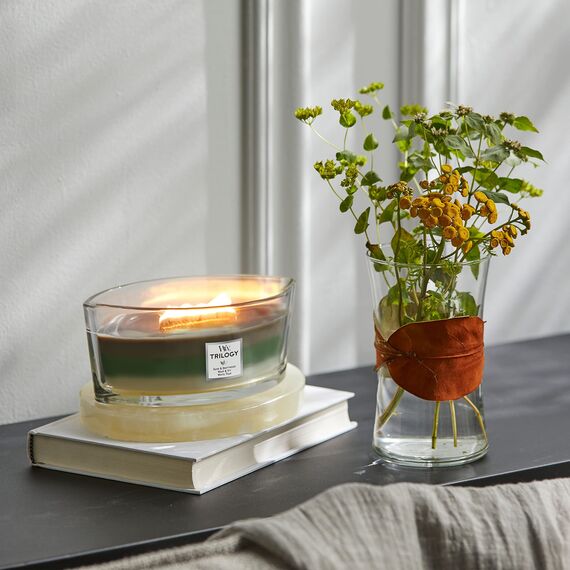 WoodWick ellipsenförmige Trilogy-Duftkerze mit knisterndem Docht | Amethyst Sky | Brenndauer bis zu 50 Stunden