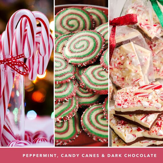 Yankee Candle Signature Duftkerze ; große Kerze mit langer Brenndauer „Peppermint Pinwheels“ ; Soja-Wachs-Mix