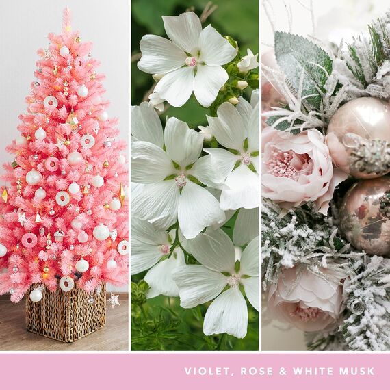 Yankee Candle Signature Duftkerze ; große Tumbler-Kerze mit langer Brenndauer „Snowflake Kisses“ ; Soja-Wachs-Mix ; Perfekte Geschenke für Frauen