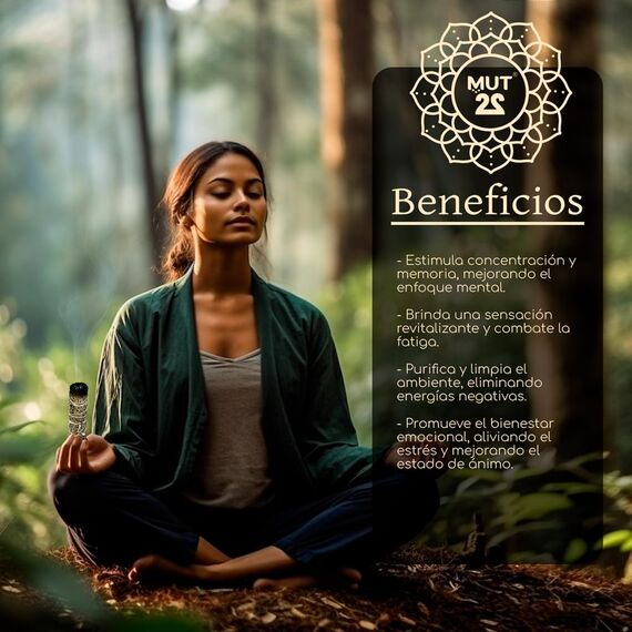 MUT22 5 Rosamarin 10 cm Premium Kalifornischer, 100% natürlich und reinigend, ideal für spirituelle und energetische Rituale