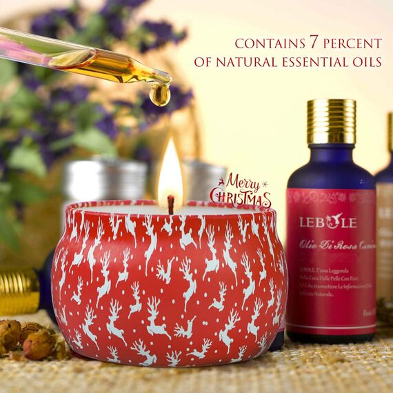 Duftkerzen Weihnachten Geschenkset,Tragbares Blech Geschenkset im 4er-Pack,120 Brennstunden, Natürliches Sojawachs mit ätherischen Ölen Kerzen, Geschenk für Frauen