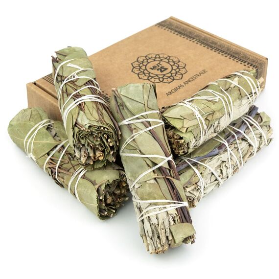 MUT22 5 Salbei und Eukalyptus 10 cm Premium Kalifornischer, 100% natürlich und reinigend, ideal für spirituelle und energetische Rituale