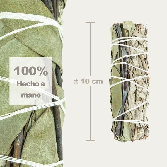 MUT22 5 Salbei und Eukalyptus 10 cm Premium Kalifornischer, 100% natürlich und reinigend, ideal für spirituelle und energetische Rituale