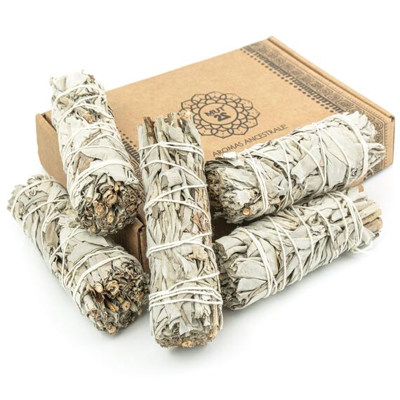 MUT22 5 Weißer Salbei 10 cm Premium Kalifornischer, 100% natürlich und reinigend, ideal für spirituelle und energetische Rituale