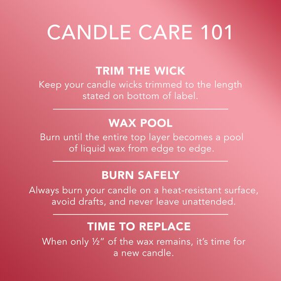 Yankee Candle Duftkerze im Glas (groß) | Frosty Gingerbread | Brenndauer bis zu 150 Stunden