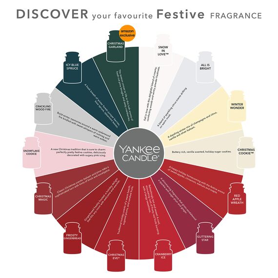 Yankee Candle Duftkerze im Glas (mittelgroß) | Sparkling Cinnamon | Brenndauer bis zu 75 Stunden